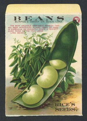 Beans Antique Rice's Seed Packet, Bush Lima, wear