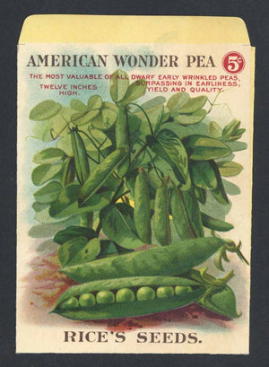 American Wonder Pea Antique Rice's Seed Packet