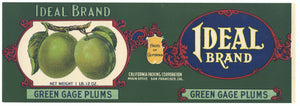 Ideal Brand Vintage Green Cape Plums Can Label