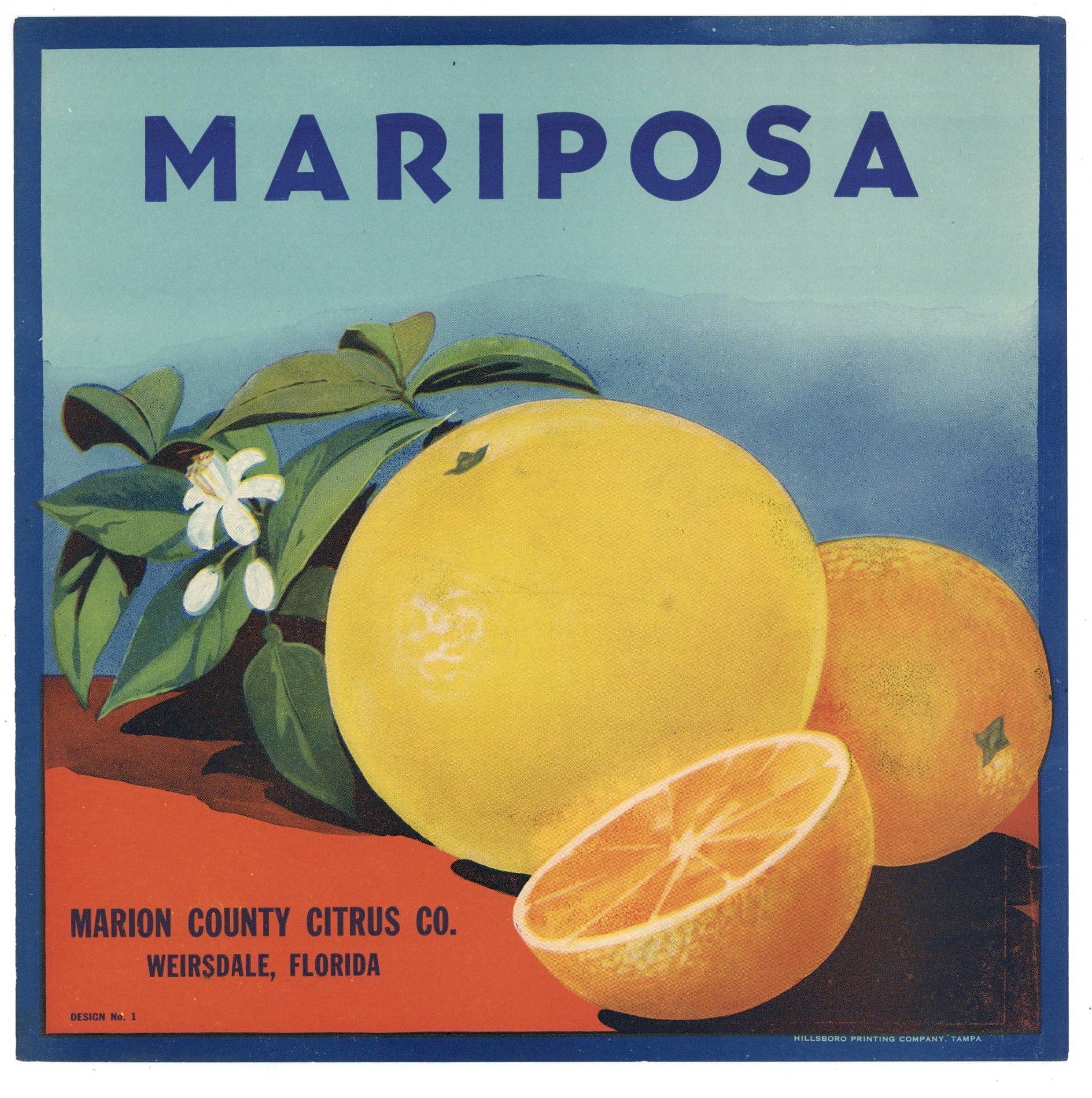 Mariposa Brand Vintage Weirsdale Florida Citrus Crate Label
