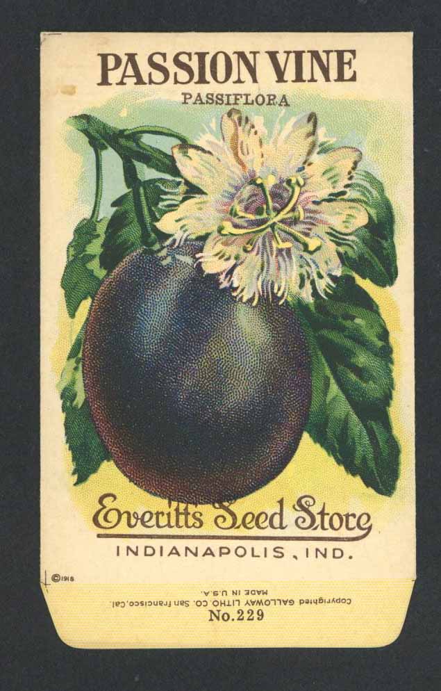 Passion Vine Antique Everitt's Seed Packet