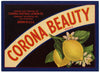 Corona Beauty Brand Vintage Riverside County Lemon Crate Label