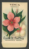 Vinca Antique Everitt's Seed Store Seed Packet