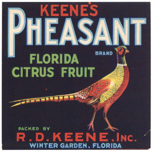 Pheasant Brand Vintage Winter Garden Florida Citrus Crate Label, small square, damage