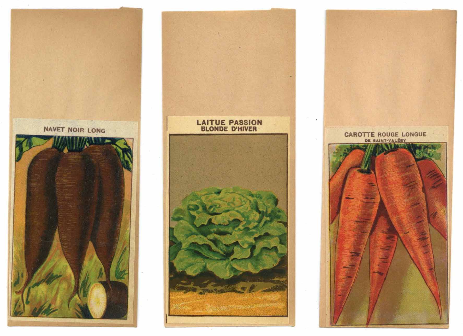 French Vegetable Antique Seed Packet Collection #19