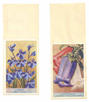 French Vegetable Antique Seed Packet Collection of 2, #18