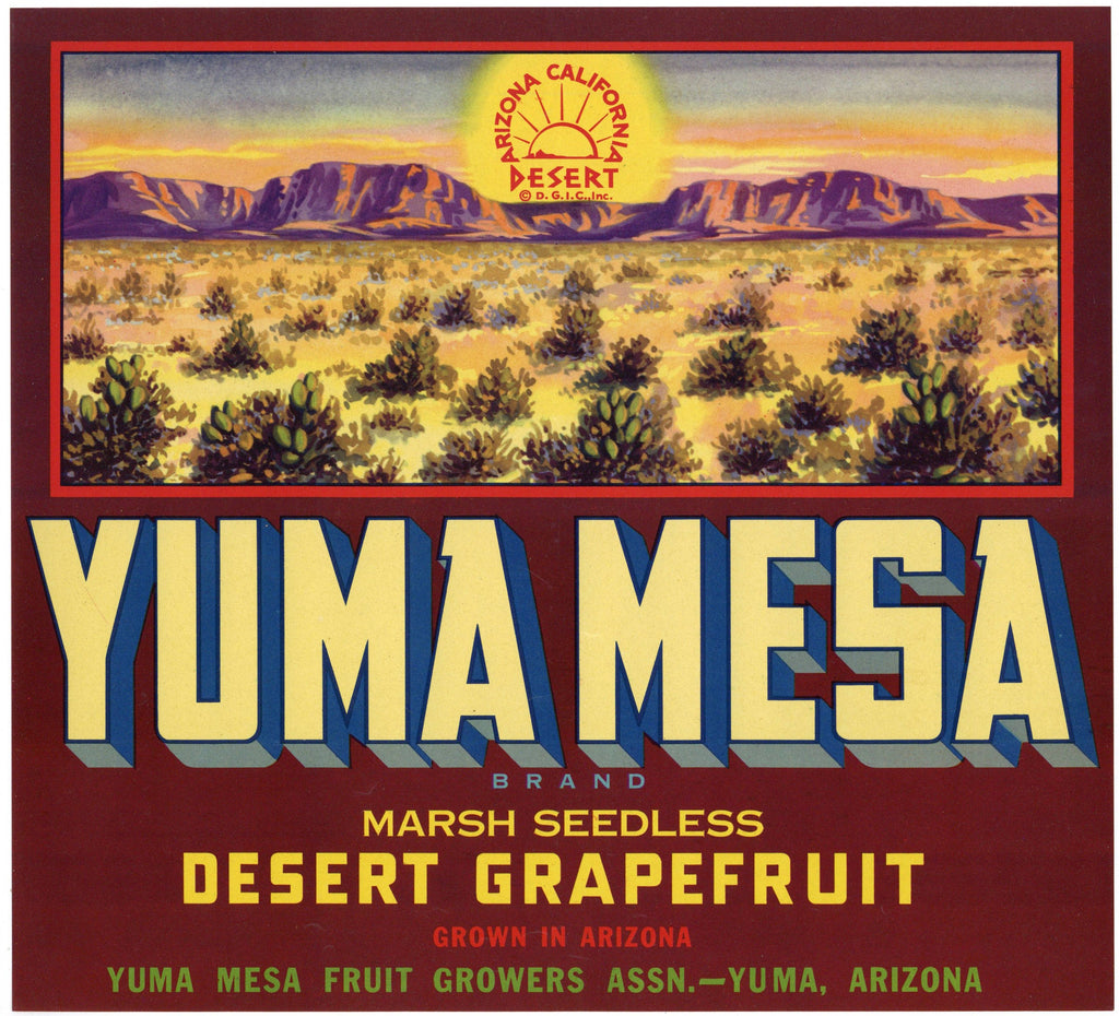 Yuma Mesa Brand Vintage Yuma Arizona Grapefruit Crate Label