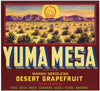 Yuma Mesa Brand Vintage Yuma Arizona Grapefruit Crate Label