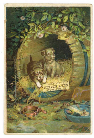 Victorian Trade Card, Universal Stove Polish, dog, puppy