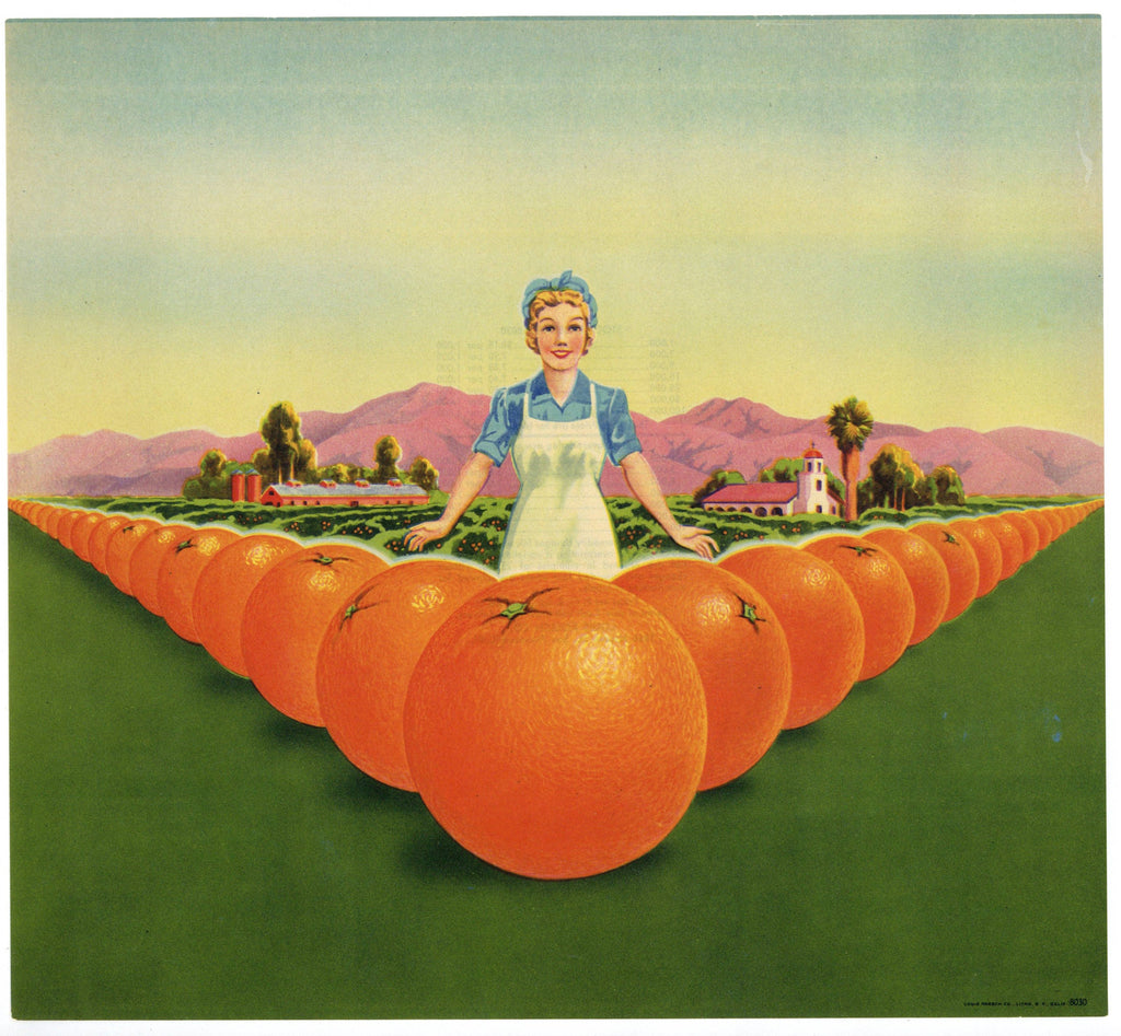 Stock Label No. 8030 Vintage Orange Crate Label