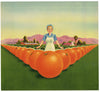 Stock Label No. 8030 Vintage Orange Crate Label