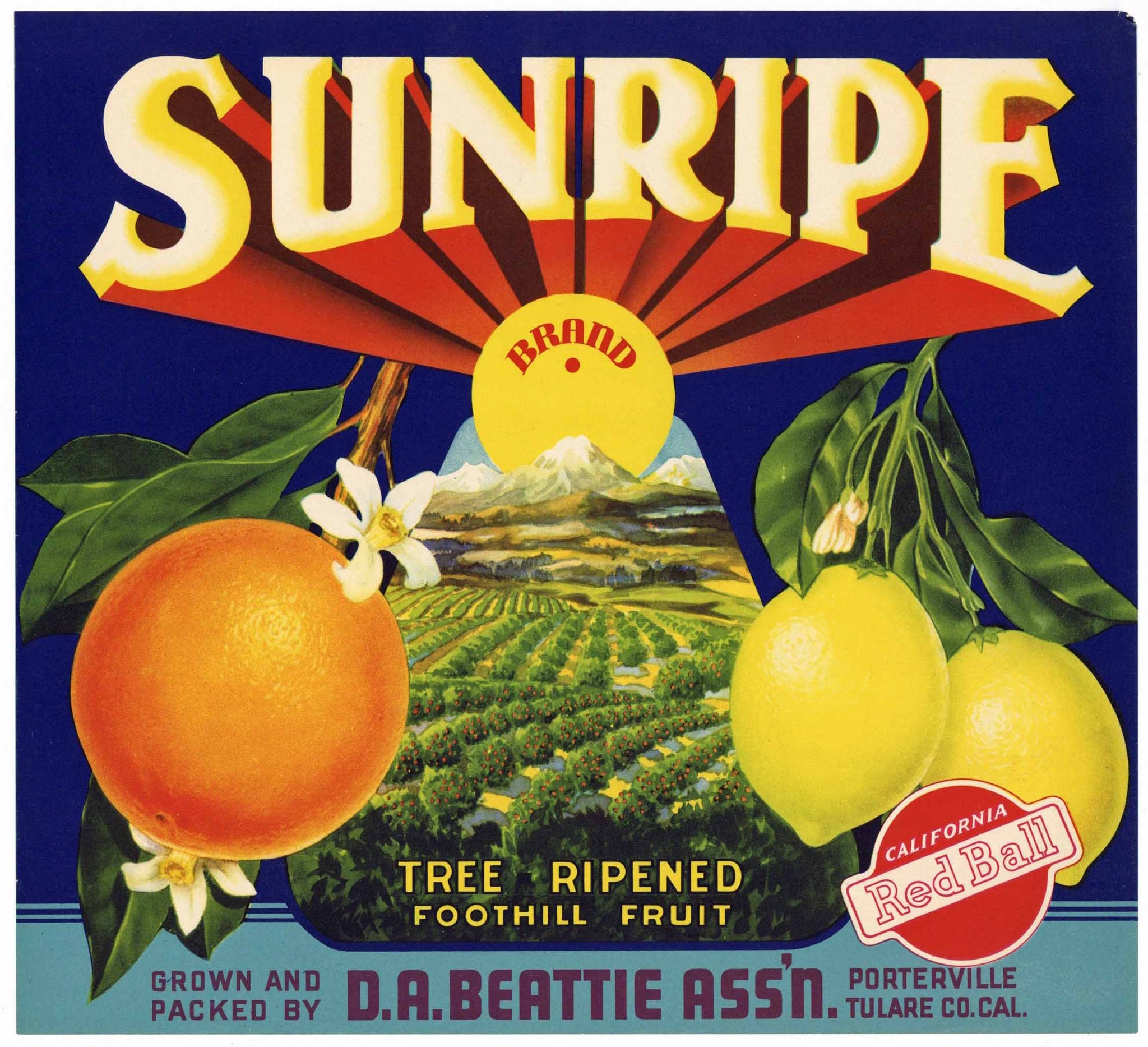 Sunripe Brand Vintage Porterville California Orange Crate Label