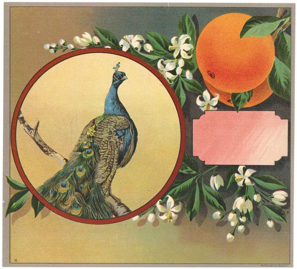 Mutual Label & Litho Co S.F.  Vintage Orange Crate Label