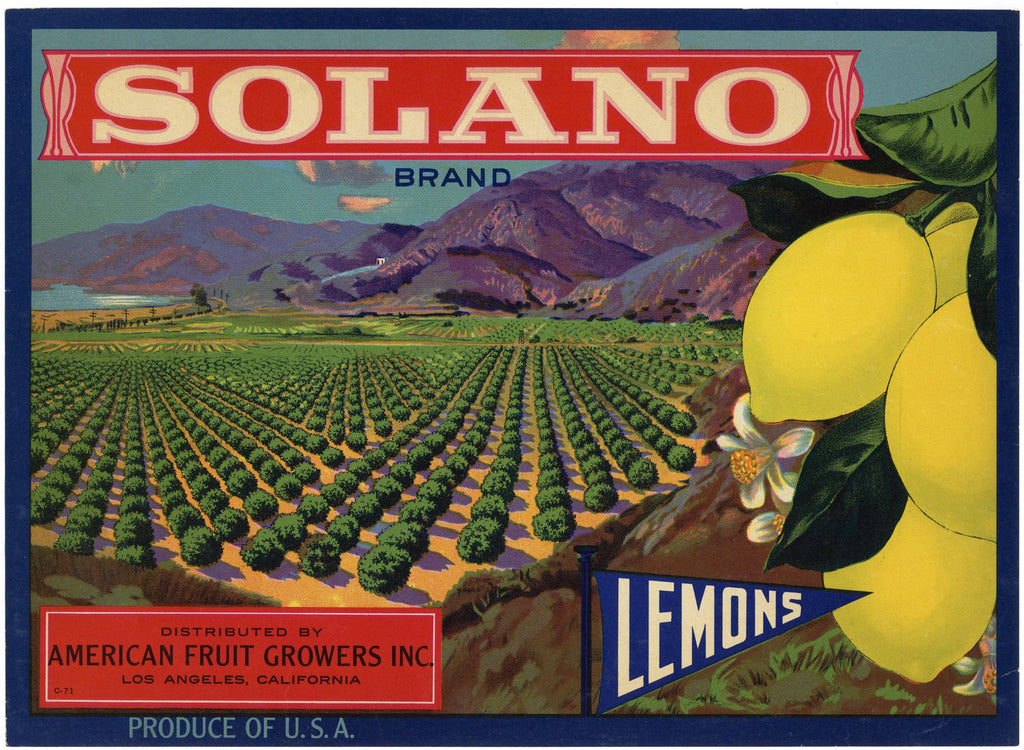 Solano Brand Vintage American Fruit Growers Lemon Crate Label