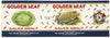Gold Leaf Brand Vintage La Crosse Wisconsin Sauer Kraut  Can Label