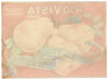 Rio Vista Brand Vintage Sacramento Delta Pear Crate Label