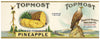 Topmost Brand Vintage St. Louis Missouri Pineapple Can Label