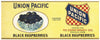 Union Pacific Brand Vintage Omaha Nebraska Black Raspberries Can Label
