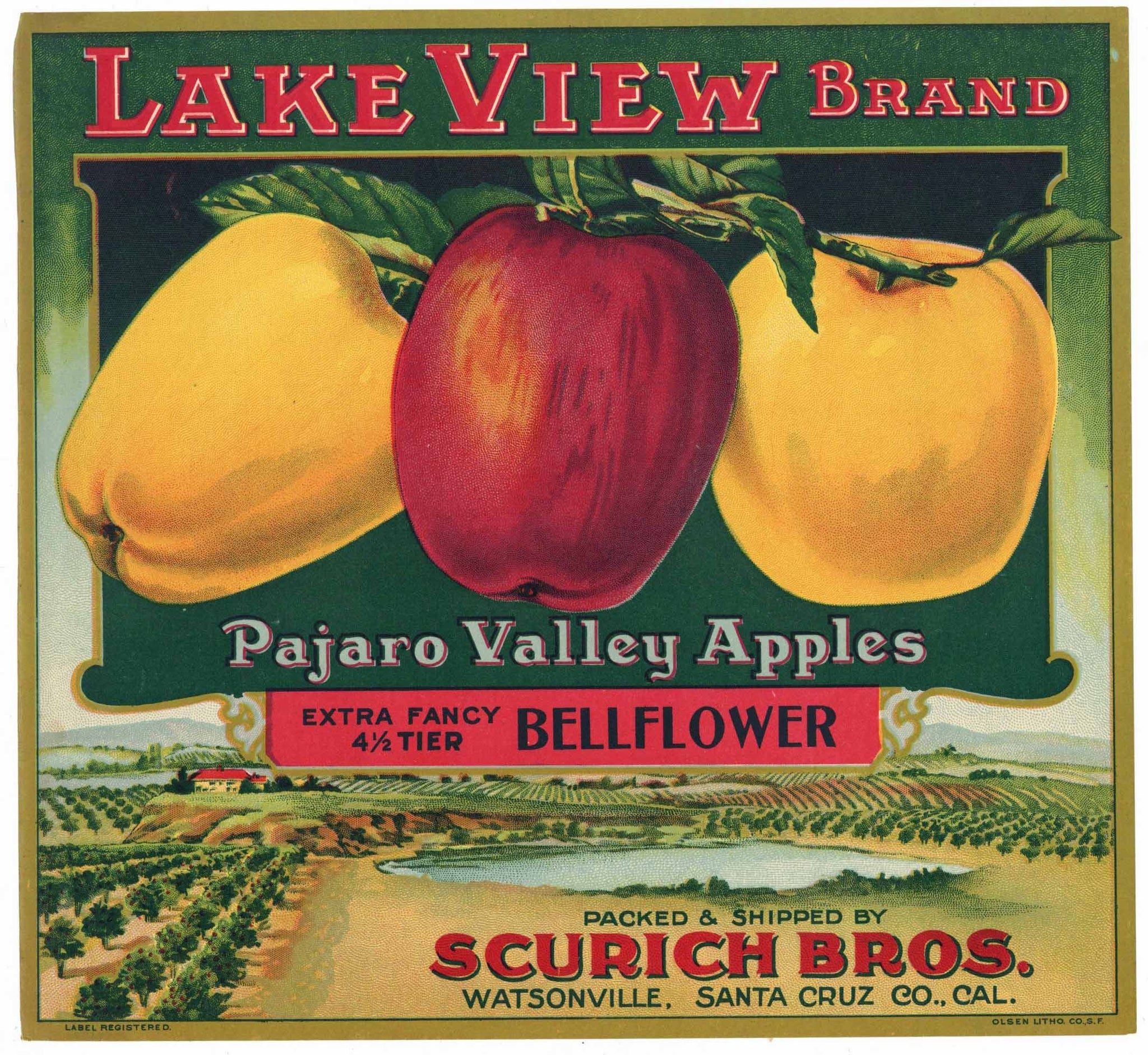 Lake View Brand Vintage Watsonville Sant Cruz County Apple Crate Label