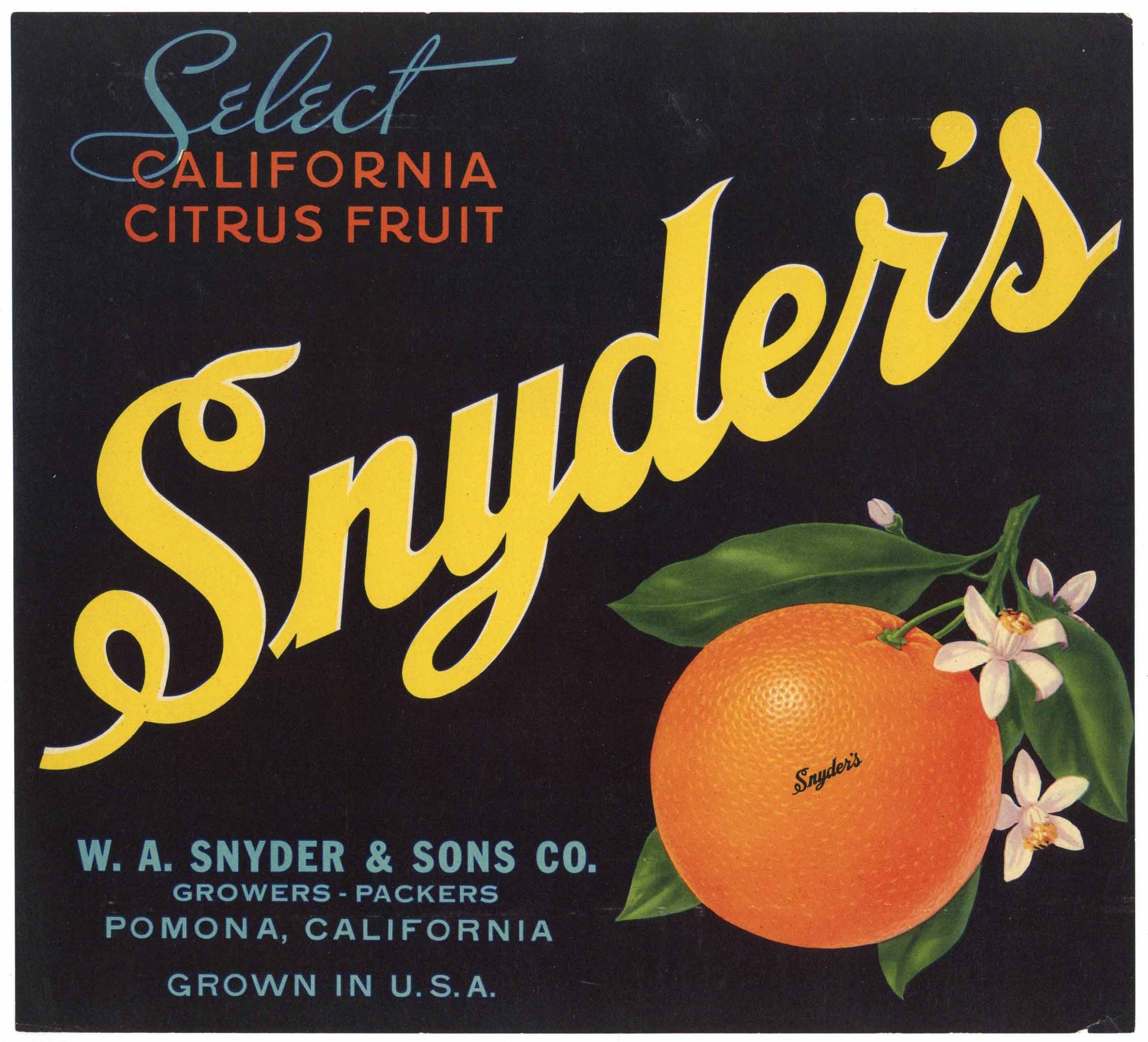 Snyder's Brand Vintage Pomona Orange Crate Label, black