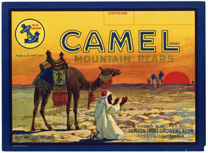 Camel Brand Vintage Penryn Fruit Growers Placer County Pear Crate Label