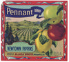Pennant Brand Vintage Watsonville Apple Crate Label, wear