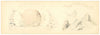 Mt. Whitney Brand Vintage Peach Can Label, Griffin & Skelley