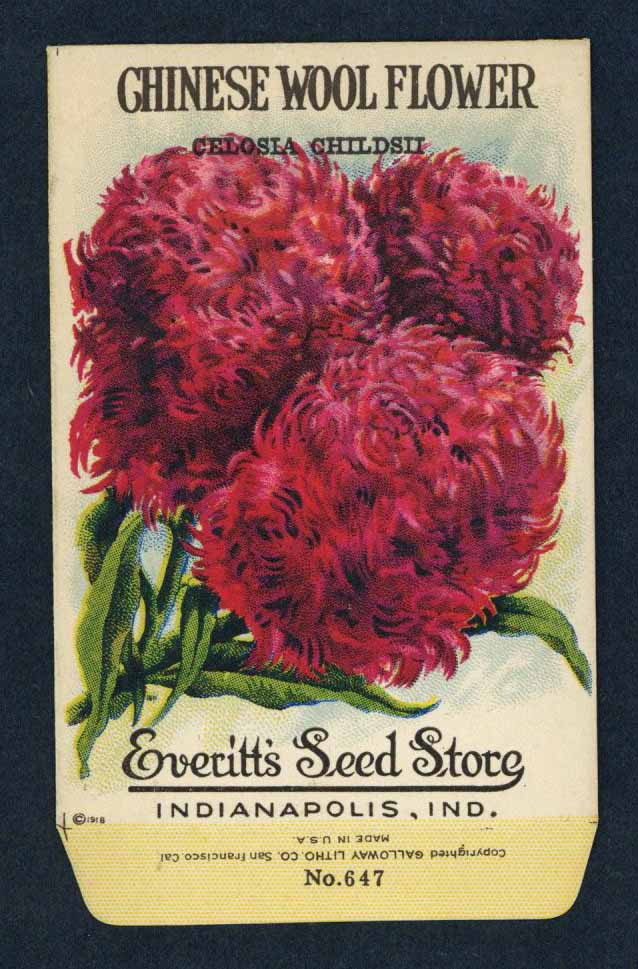 Chinese Wool Flower Antique Everitt's Seed Packet