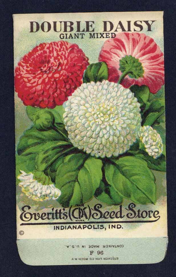 Double Daisy Antique Everitt's Seed Packet