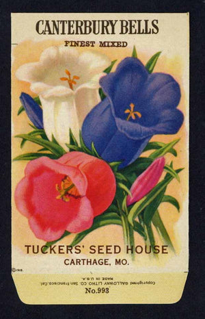 Canterbury Bells Antique Tuckers Seed Packet