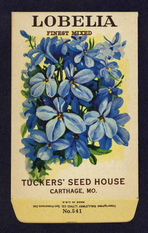 Lobelia Antique Seed Packet Tuckers Seed House