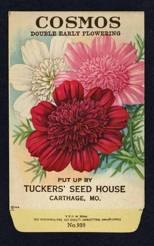 Cocmos Antique Seed Packet Tuckers Seed House