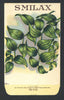 Smilax Antique Stock Seed Packet