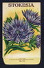 Stokesia Antique Stock Seed Packet