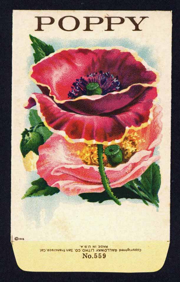 Poppy Antique Stock Seed Packet