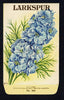 Larkspur Antique Stock Seed Packet