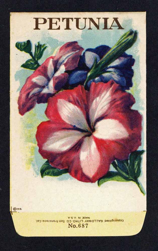 Petunia Antique Stock Seed Packet