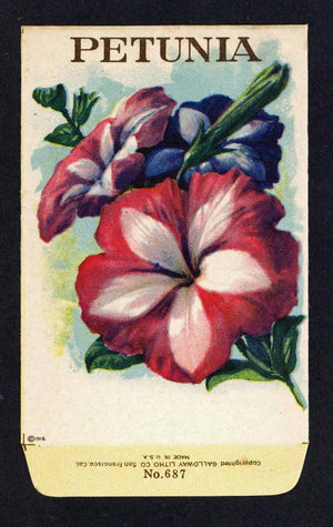 Petunia Antique Stock Seed Packet