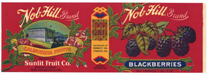 Nob Hill Brand Vintage Blackberries Can Label