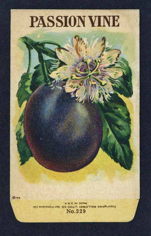 Passion Vine Antique Stock Seed Packet