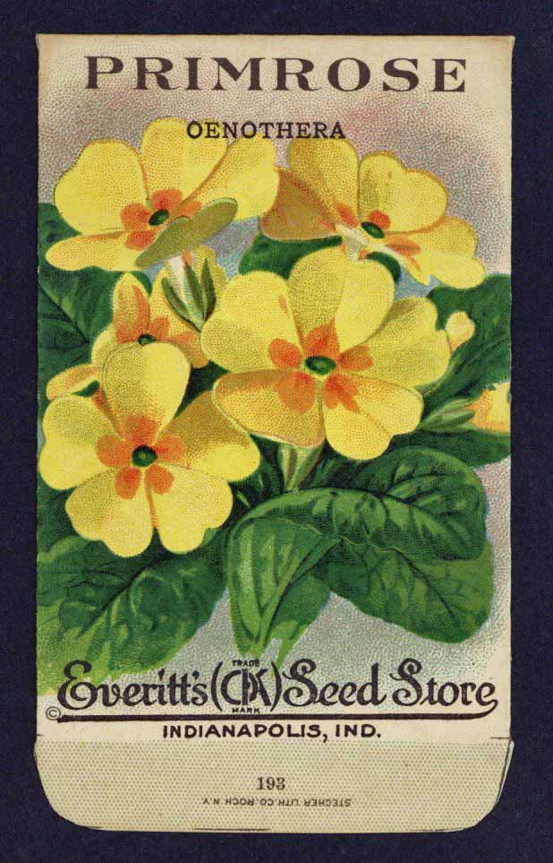 Primrose Antique Everitt's Seed Packet