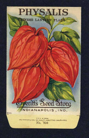 Physalis Antique Everitt's Seed Packet