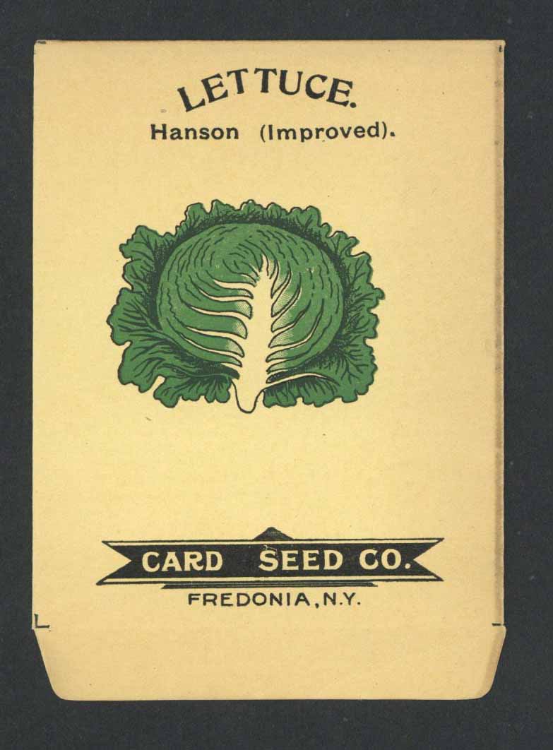 Lettuce Antique Card Seed Co. Packet, Hanson