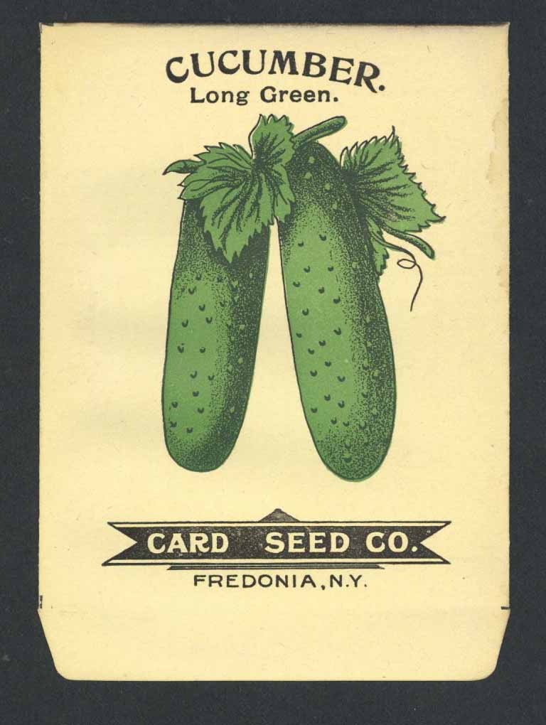 Cucumber Antique Card Seed Co. Packet, Long Green