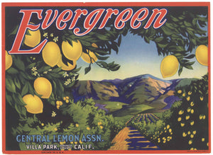 Evergreen Brand Vintage Villa Park California Lemon Crate Label