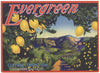 Evergreen Brand Vintage Villa Park California Lemon Crate Label