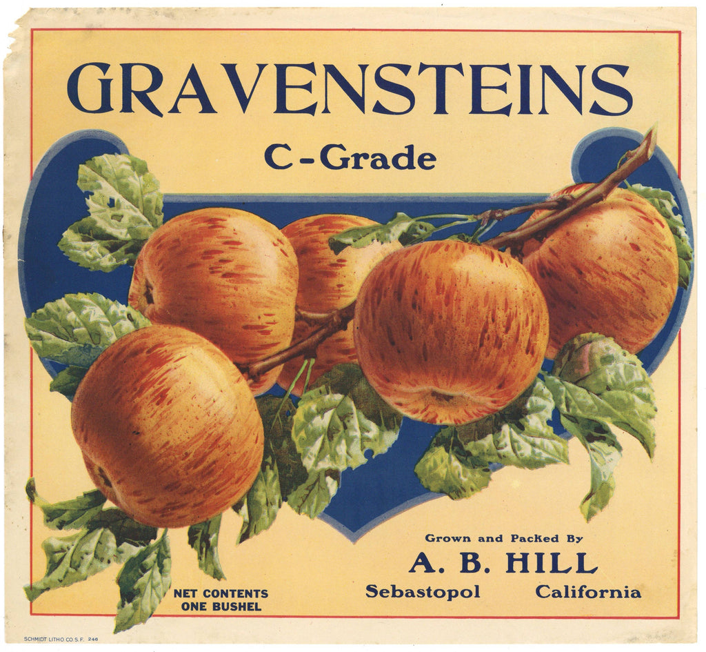 Gravensteins C-Grade Brand Vintage Sebastopol Apple Crate Label