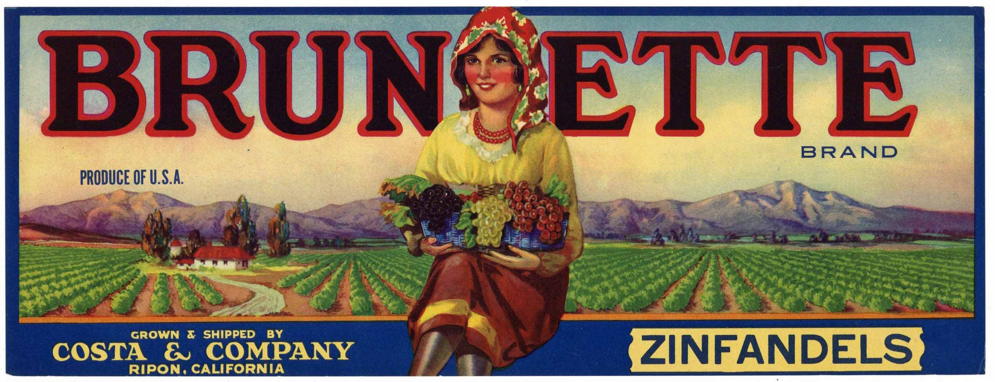 Brunette Brand Vintage Wine Grape Crate Label, Zinfandel