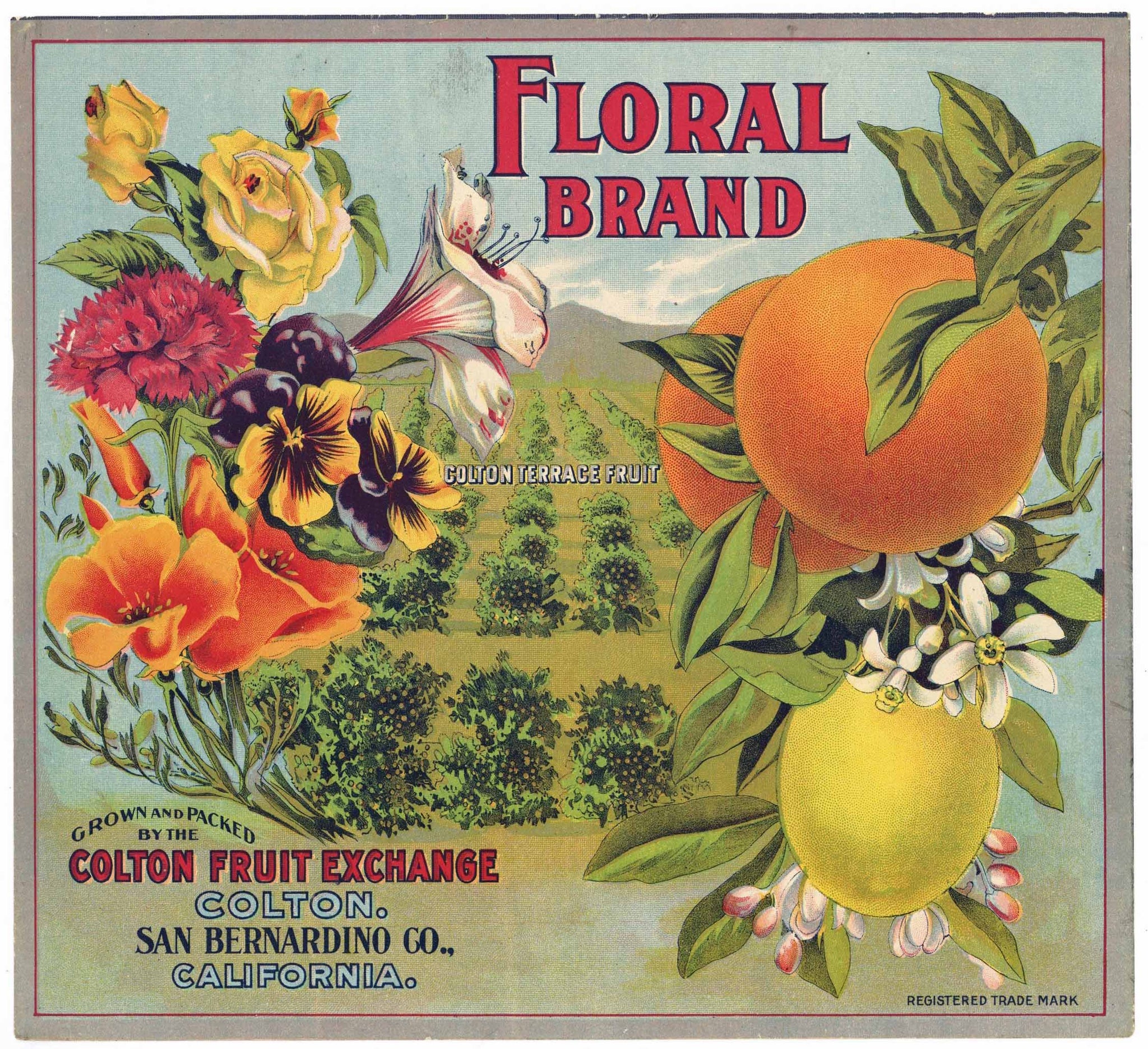 Floral Brand Vintage Colton, California Orange Crate Label