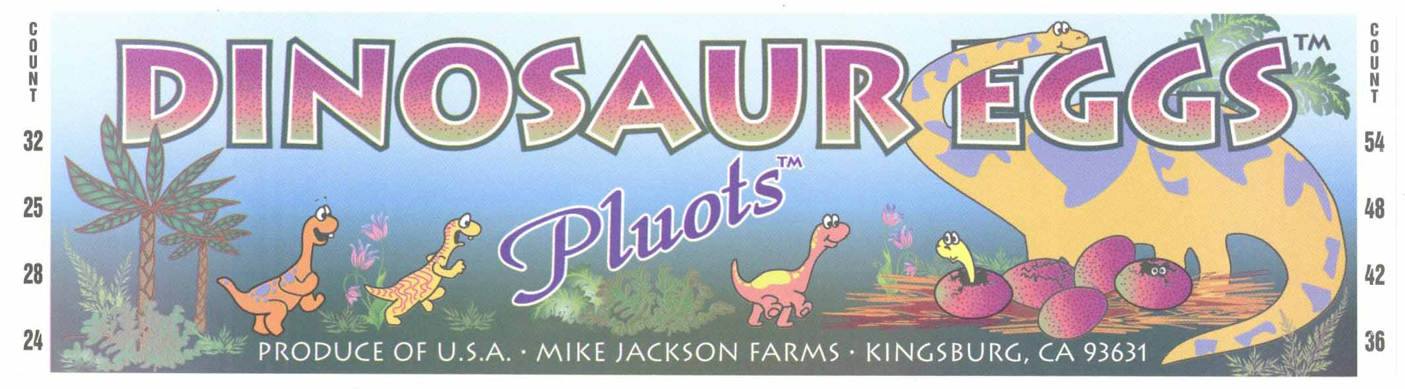 Dinosaur Eggs Brand Vintage Kingsburg California Pluots Crate Label